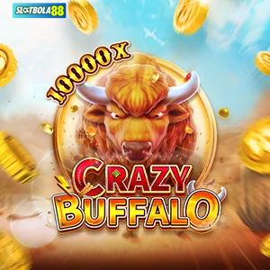 crazy buffalo