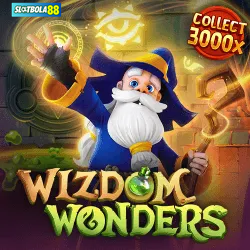 Wizdom Wonders