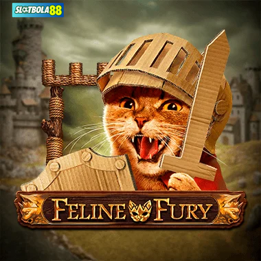 Feline Fury